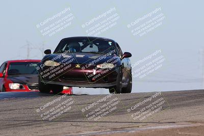 media/Nov-24-2023-Speed SF (Fri) [[8629a6e656]]/Gold/Session 2 (Grapevine)/